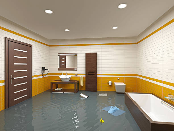 Best Water Damage Assessment and Inspection in USA